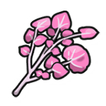 Sweet Herba Mystica